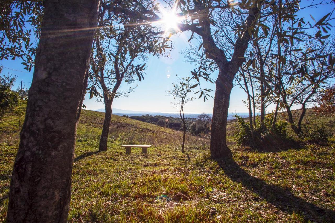 Glamping Debbiare Otel Riparbella Dış mekan fotoğraf