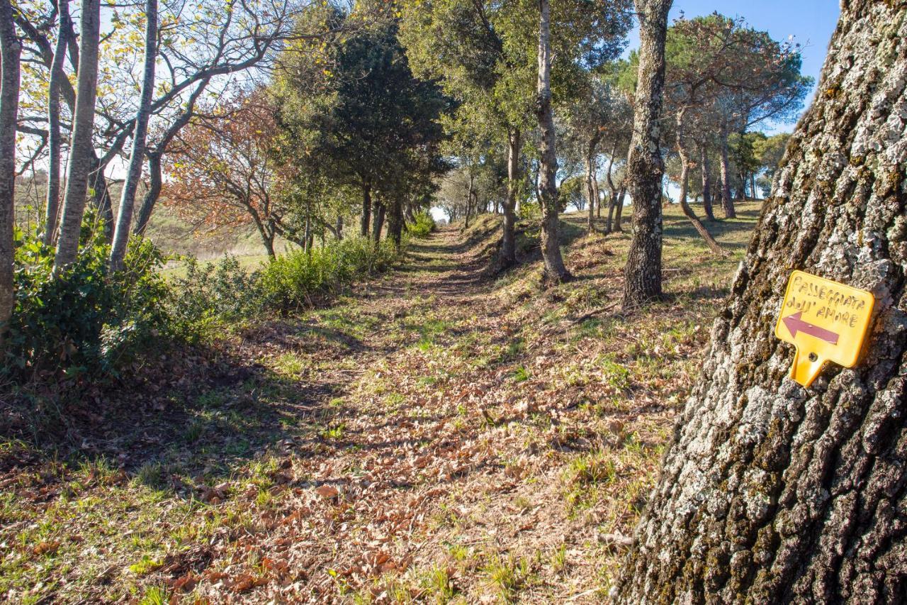Glamping Debbiare Otel Riparbella Dış mekan fotoğraf