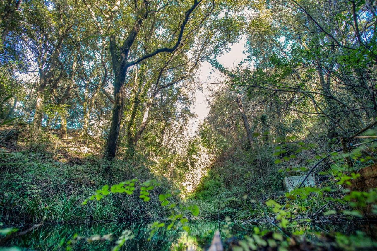 Glamping Debbiare Otel Riparbella Dış mekan fotoğraf