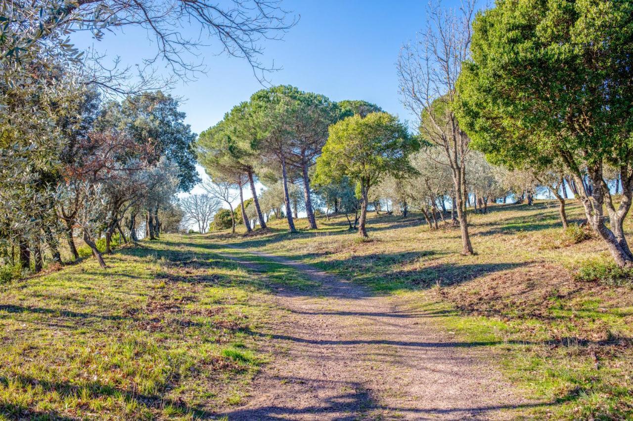 Glamping Debbiare Otel Riparbella Dış mekan fotoğraf