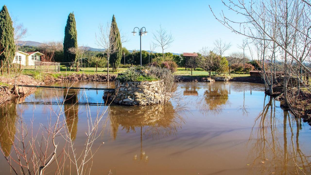 Glamping Debbiare Otel Riparbella Dış mekan fotoğraf