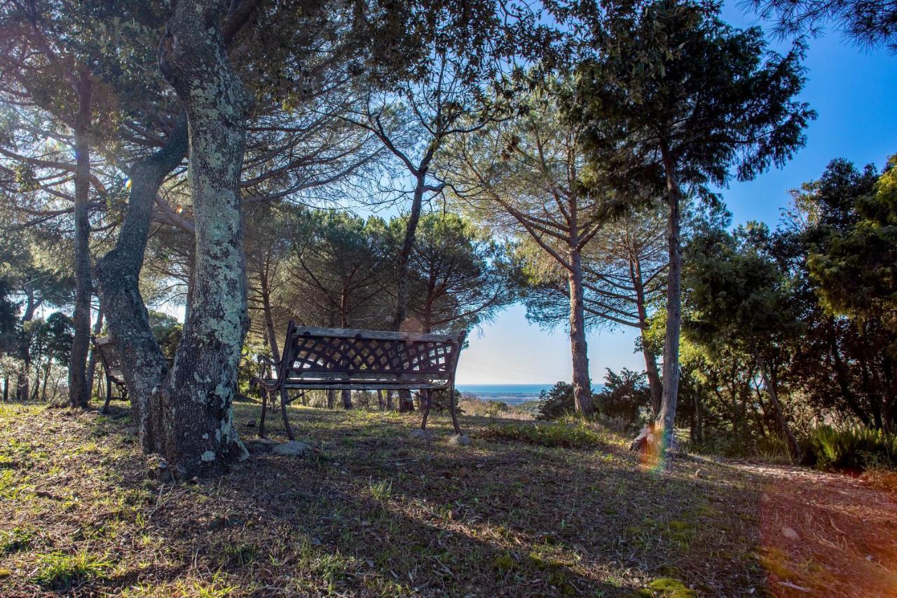 Glamping Debbiare Otel Riparbella Dış mekan fotoğraf