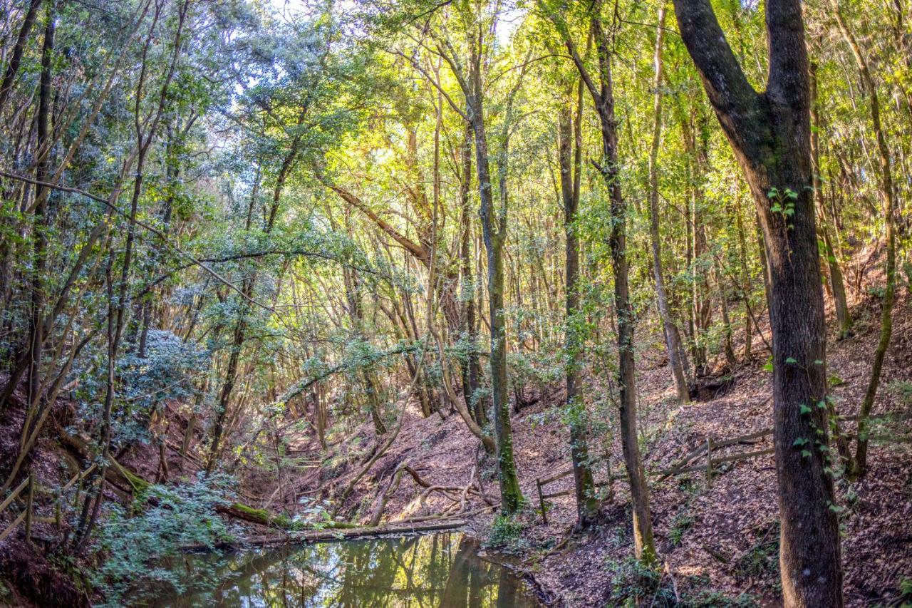 Glamping Debbiare Otel Riparbella Dış mekan fotoğraf