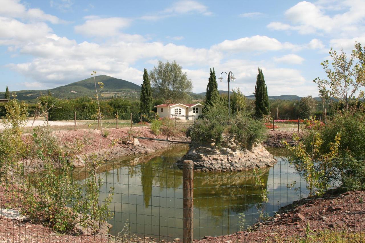 Glamping Debbiare Otel Riparbella Dış mekan fotoğraf