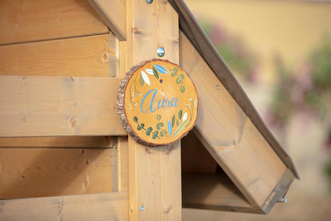 Glamping Debbiare Otel Riparbella Dış mekan fotoğraf